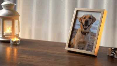 💓😭🐱🐕3D Pet Holographic House Custom Pet Memorial Display Crystal(Includes software)
